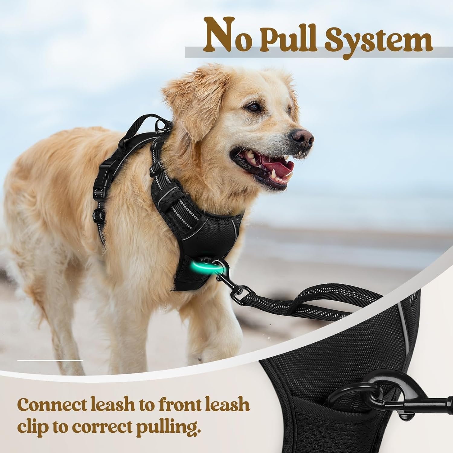 No-Pull Choke-Free Front Clip Dog Harness