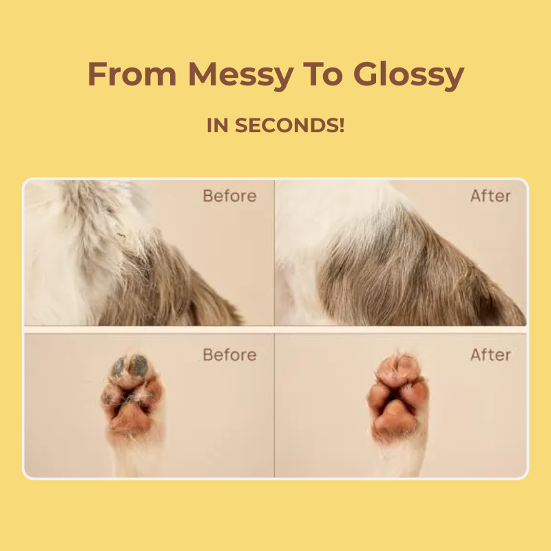 Wear-and-Wipe Gloves — Clean your pet in seconds. Stress-free. Water-free. Mess-free.