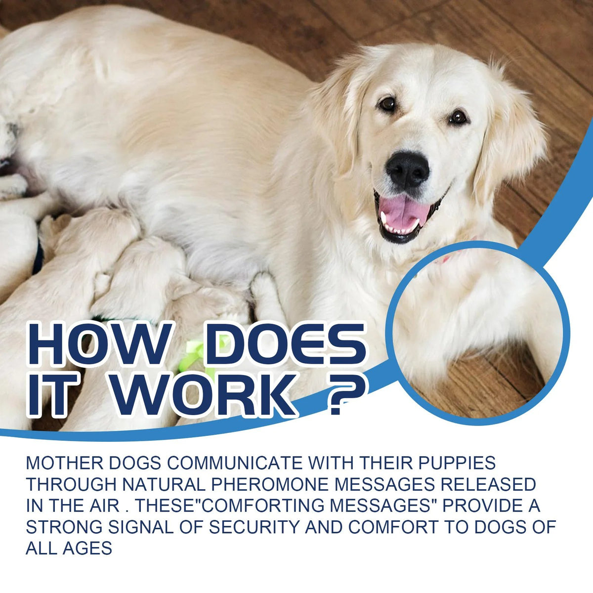 Dog Calming Pheromone Spray
